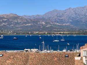 Appartements Apartment Vue Mer : photos des chambres