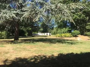 Nid Zen & Spa La Touche - Vignoux-sur-Barangeon