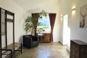 Top-Apartment Pfarrwerfen