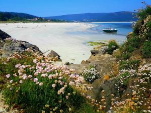 Apartamento con terraza y acceso a la playa