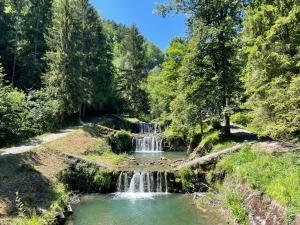 Chalets Chalet Le Doux Si, Large Self-Contained Apartment, 2km from Doucy-Combelouviere and close to Valmorel : photos des chambres