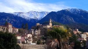 Appartement 48 m2 avec jardin au rdc dans villa à 5 min à pied des Thermes de Vernet-les-Bains, location de samedi à samedi