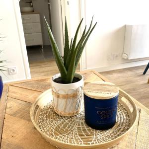 Cabourg-la plage à vos pieds