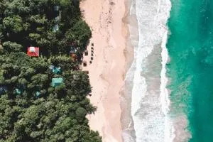 Palmar Beach Lodge - Cajun Cod