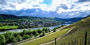 Sonnenufer Apartment & Moselwein II