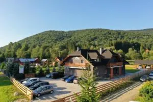 Dom Gościnny Wetlinn - 维什卡