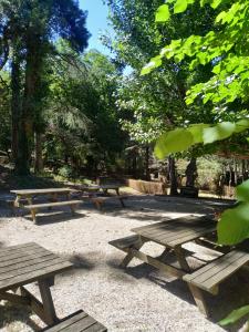 Tapada Nacional de Mafra