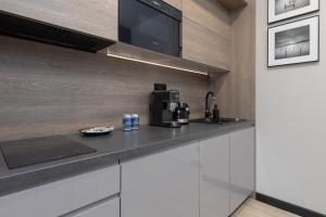 Shellter Apartment Rogowo by Renters