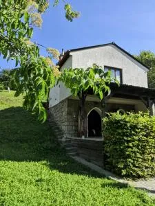 Chata Vinný Sklep Bobule - Nasedlowitz