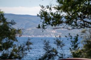 Apartman Dupin 