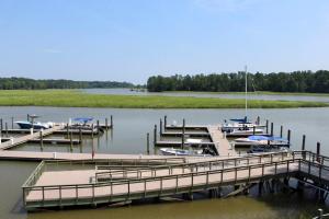 Surry Seafood Company