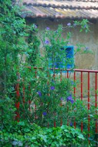 Maisons d'hotes Les Volets Bleus Provence : Chalet