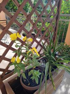 Udobna soba za dvoje