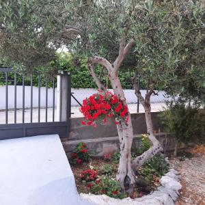 Studio apartman Mare