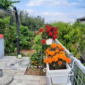 Studio apartman Mare