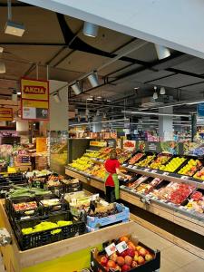 Butique Apartment in the city center