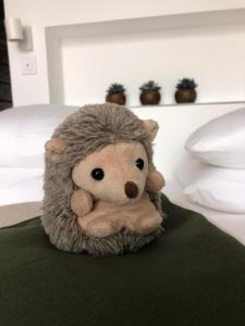 Appartements Felix Le Renfrogne Aubagne-Cassis-Aix en Provence : photos des chambres