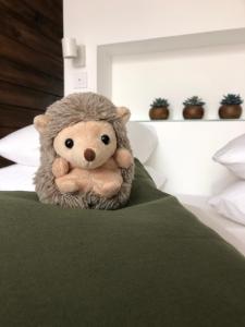 Appartements Felix Le Renfrogne Aubagne-Cassis-Aix en Provence : photos des chambres