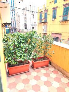 Concept b&b naples- camere moderne con balcone vicino al centro