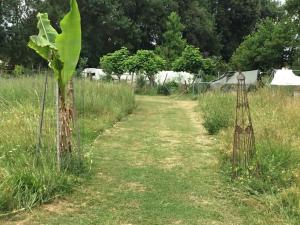 Tentes de luxe Cabane au fond du jardin : photos des chambres