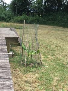 Tentes de luxe Cabane au fond du jardin : photos des chambres