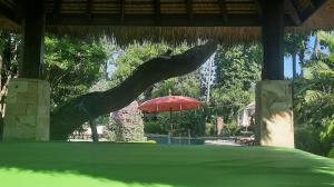 Rambutan Hotel