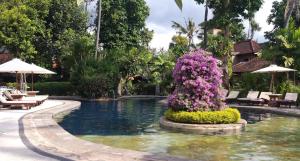 Rambutan Hotel