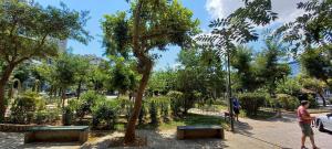 Cozy Studio in Koukaki Athens BY ZAIN