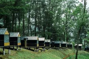 Bobocabin Coban Rondo, Malang - 勿里达