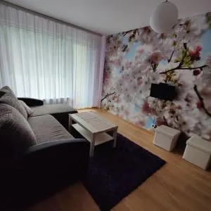 Dainai Apartament - Beržynė II
