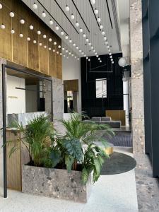 Apartament Kapitan Portova