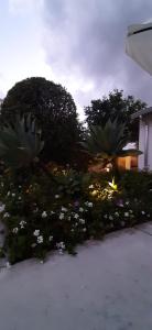 Coral vicino al mare