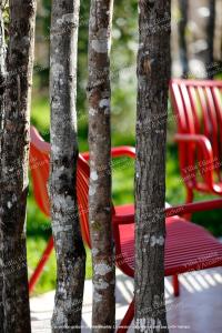 Appartements Gite Villa Elisaia location de meubles de tourisme chez l'habitant : Studio Lit Queen-Size 