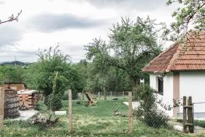 JELA Countryside House - Mionica