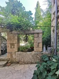 Alice & Jeanne - Terraube