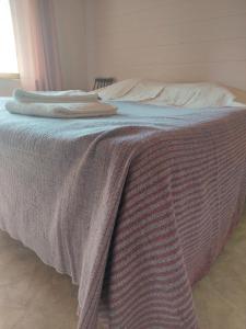 Villa Aleksi with Sauna