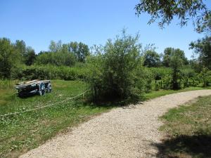 B&B / Chambres d'hotes Espace Nature Studio independant proche du Parc des oiseaux : Chambre Double - Vue sur Jardin - Non remboursable