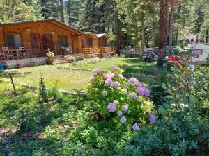 Bujtina Uji I Panjes, Log Cabins - Bashi