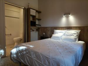 Maisons d'hotes Les Bois de Malaguet - gite d-etape et de sejour : photos des chambres