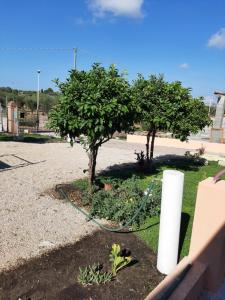 Guesthouse da Caterina img23