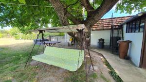 Holiday home in Siofok - Balaton 38173