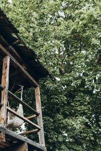 Shed Experience Outdoor