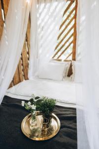 Shed Experience Outdoor