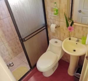 Casita El Sonido de las Aves