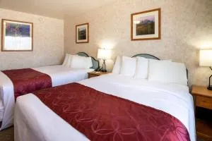 Swiss Alps Inn - 希伯城 Swiss Alps Inn - 希伯城