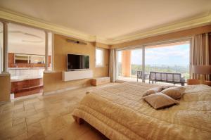 B&B / Chambres d'hotes Suites de Prestige jacuzzi, hammam, sauna, PISCINE Mougins Cannes Grasse : photos des chambres