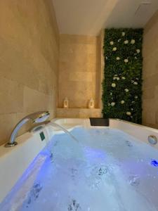 Appartements Appartement Dampierre en yvelines : photos des chambres