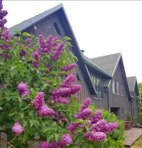 Viesu māja Zvilnis - Aizpute