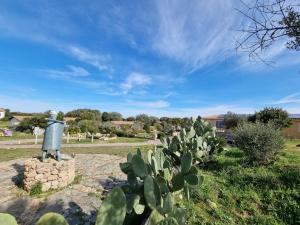 La Quercia della Gallura