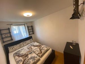 Zentral gelegene Ferienwohnung in Saalfelden